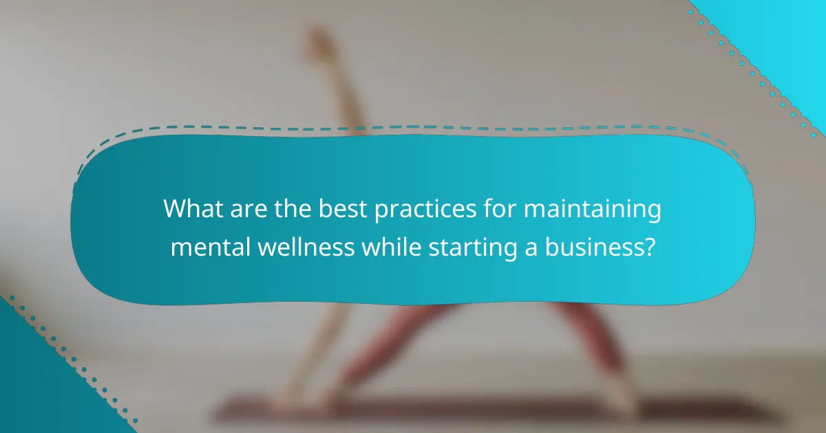 What are the best practices for maintaining mental wellness while starting a business?
