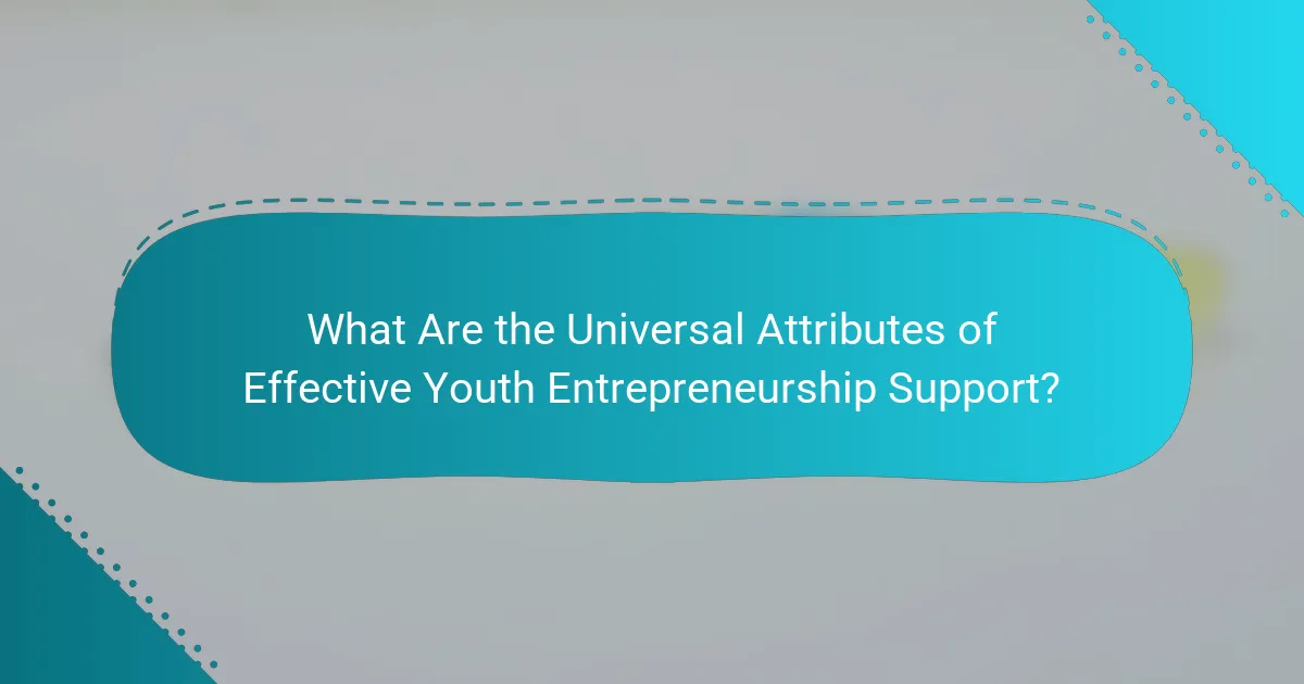 What Are the Universal Attributes of Effective Youth Entrepreneurship Support?